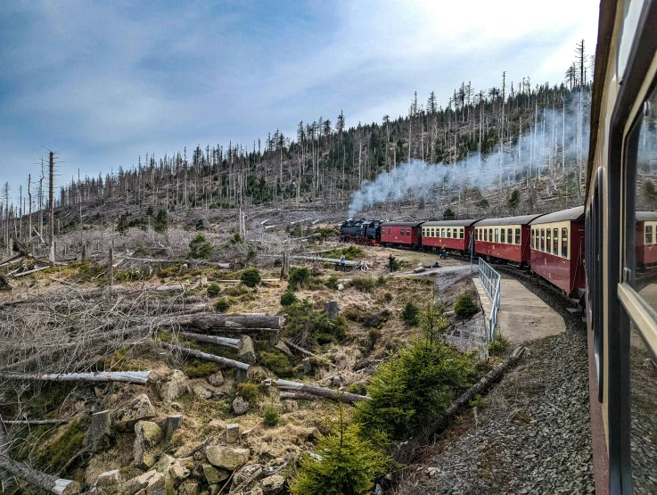 an old passenger train rides through a tree - covered landscape