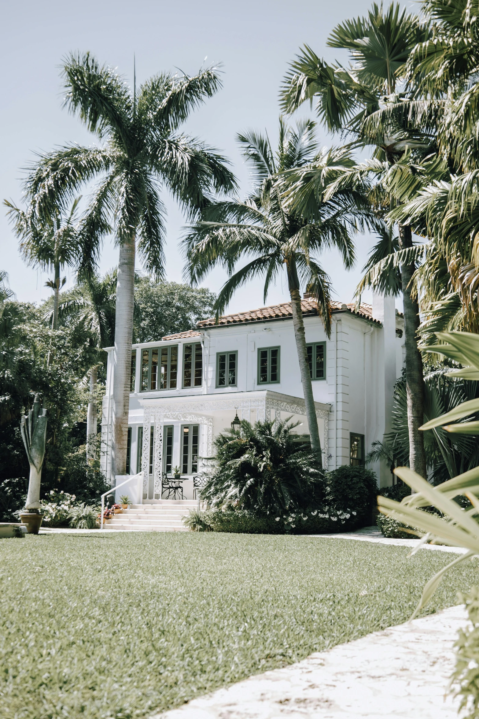 a house and palm trees with white walls