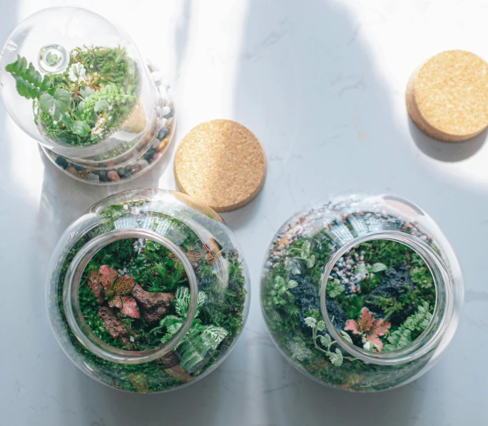 the top down view of three glass jars filled with different things