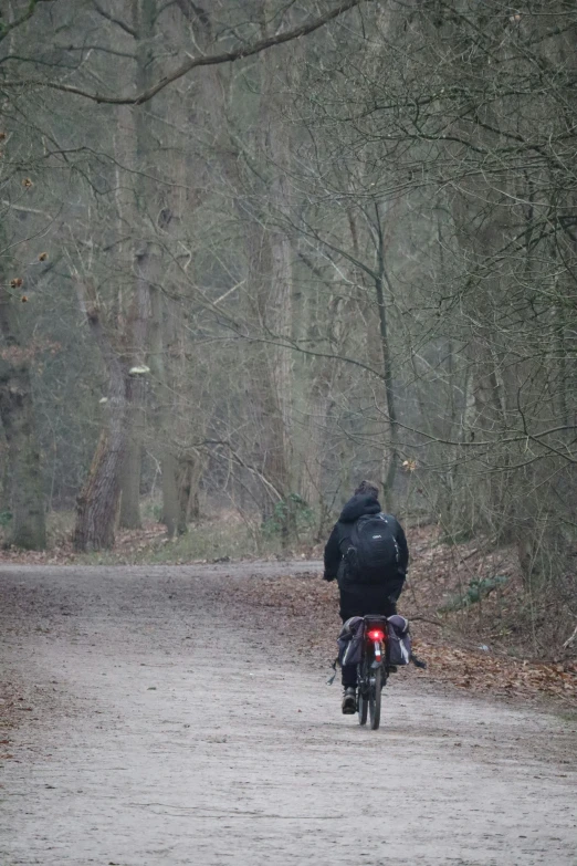 person riding a motorcycle on the road in a wooded area