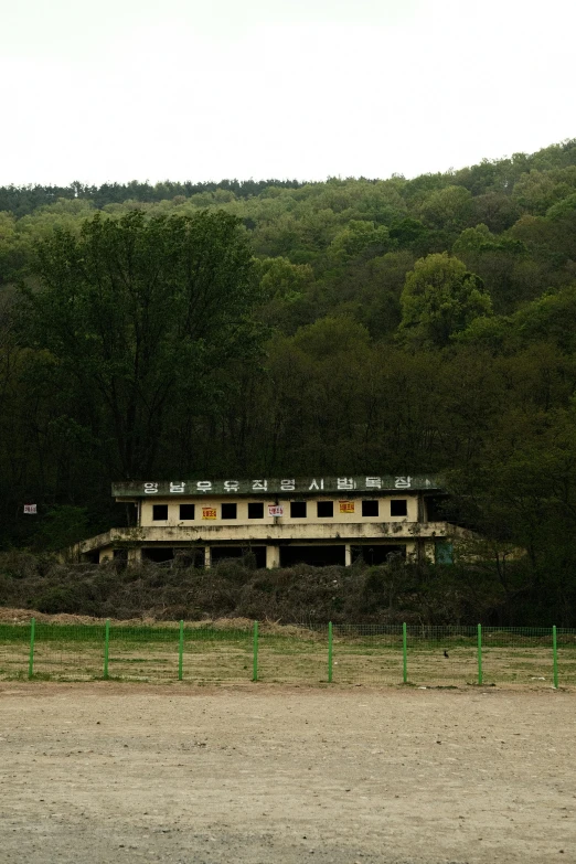 some cows are walking along in front of a small hill