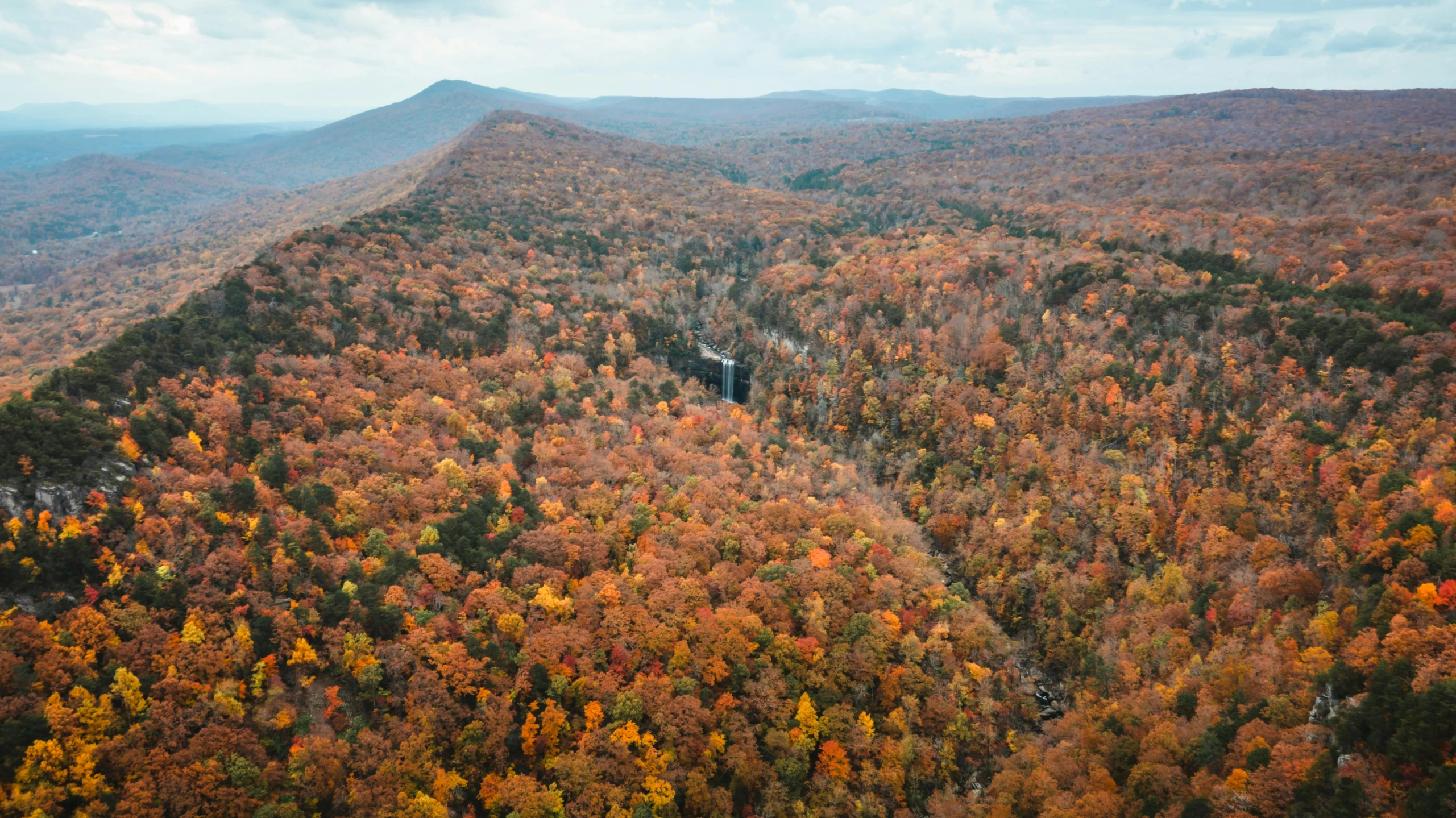 a large area with trees that have orange and yellow foliage