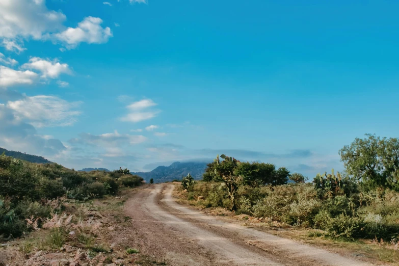 dirt road running beside bushes, trees and clouds