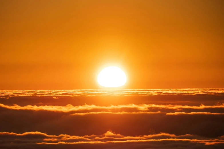 a bird flying in the air with a sunset behind it