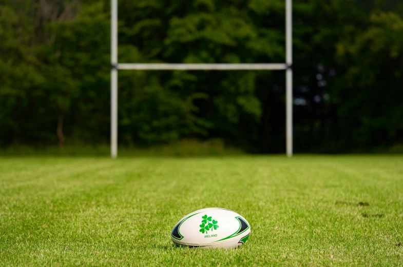 a football is in the green grass at a park