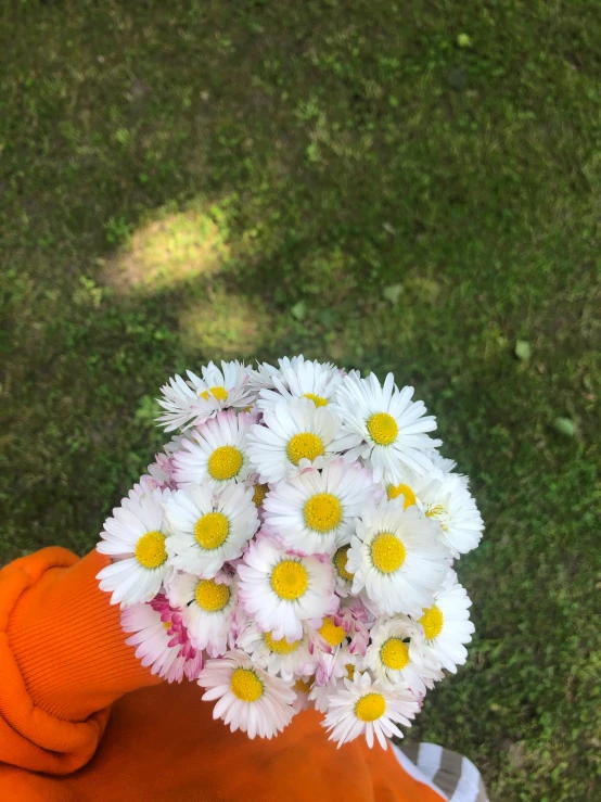 a person's hand holds a bouquet of white flowers