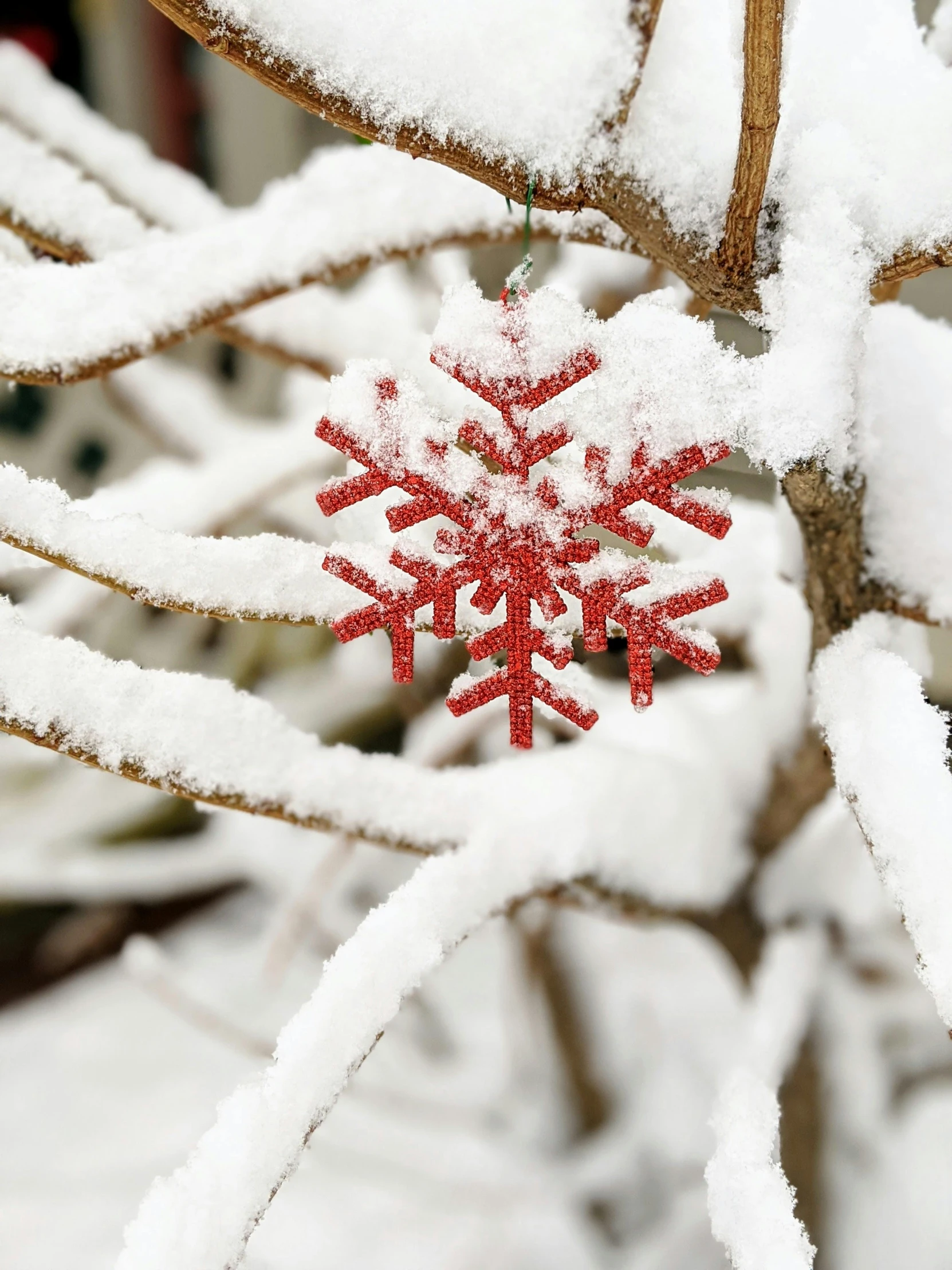 a snow flaker hanging from a tree nch