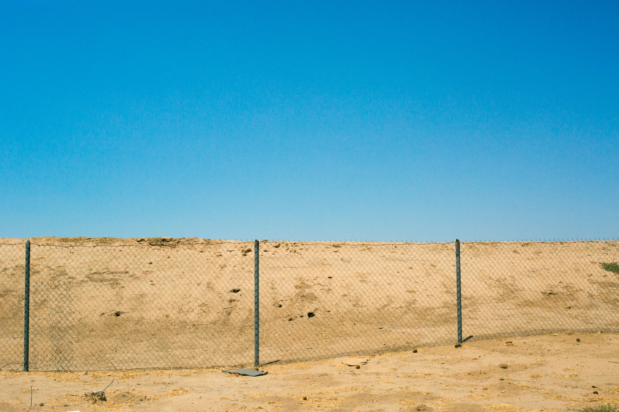 a bird flying by a fence in the desert