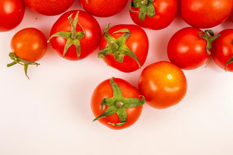 six small red tomatoes spread out in rows on the table