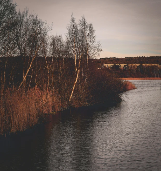 an empty waterway surrounded by tall grass and shrubs