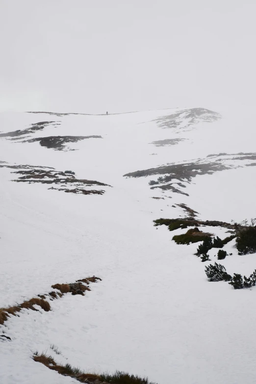 a lone skiboarder is on a snowy hill