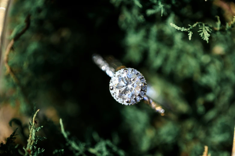 an image of a diamond ring hanging on tree nches