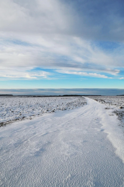 snowy path going through desert near horizon under cloudy sky