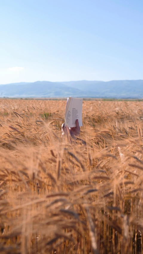 a woman holding up a sign in a large wheat field