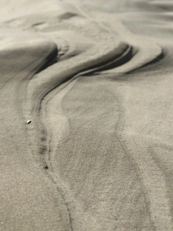 two birds on the sand looking down at their footprints