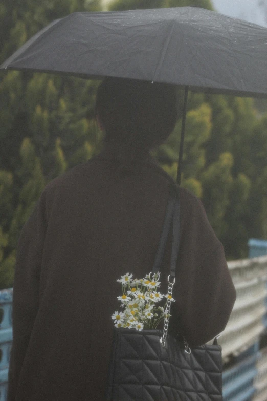 a person walking with an umbrella in the rain