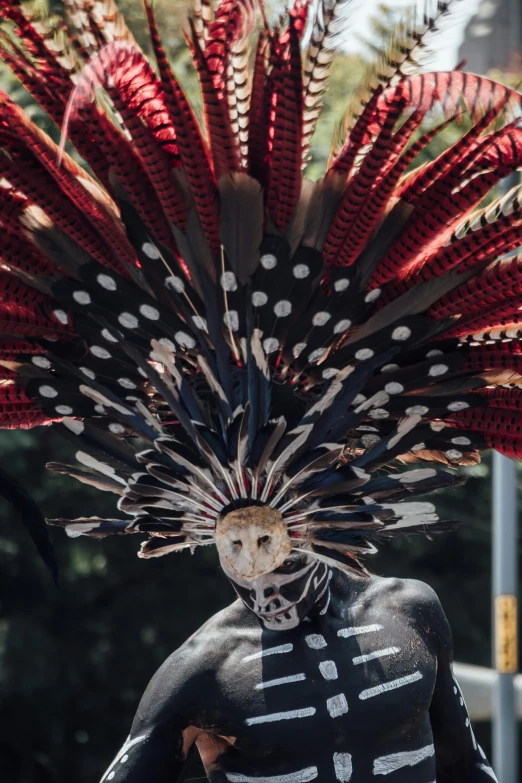 a masked man wearing costume in the sun