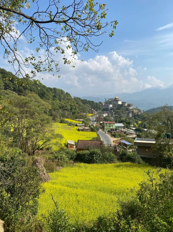 view from the valley looking down a small town