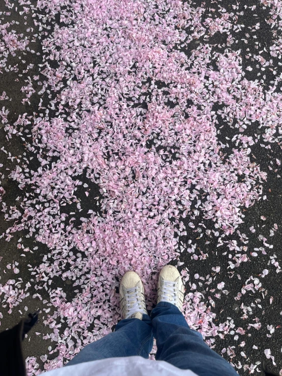 someone standing in front of a dle that has pink petals on it