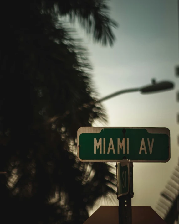 a green and white street sign and some palm trees