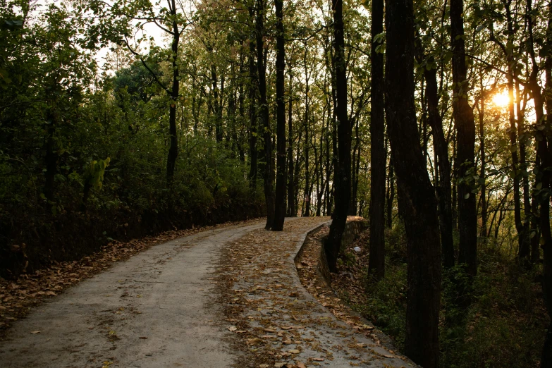 the path passes through a wooded area by itself