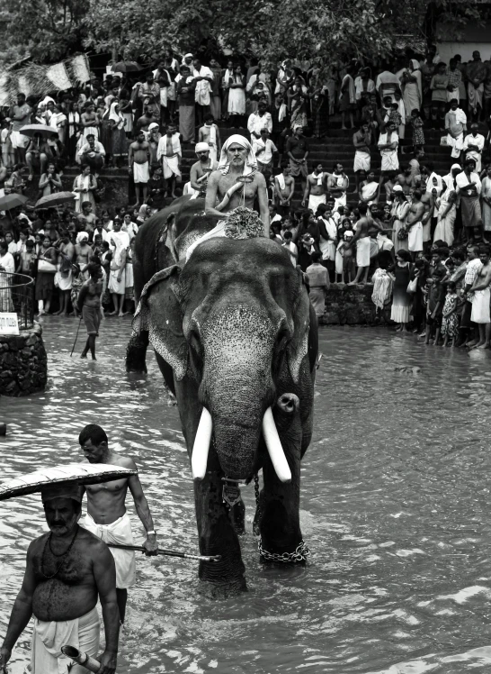 a group of people are watching elephants play in the water