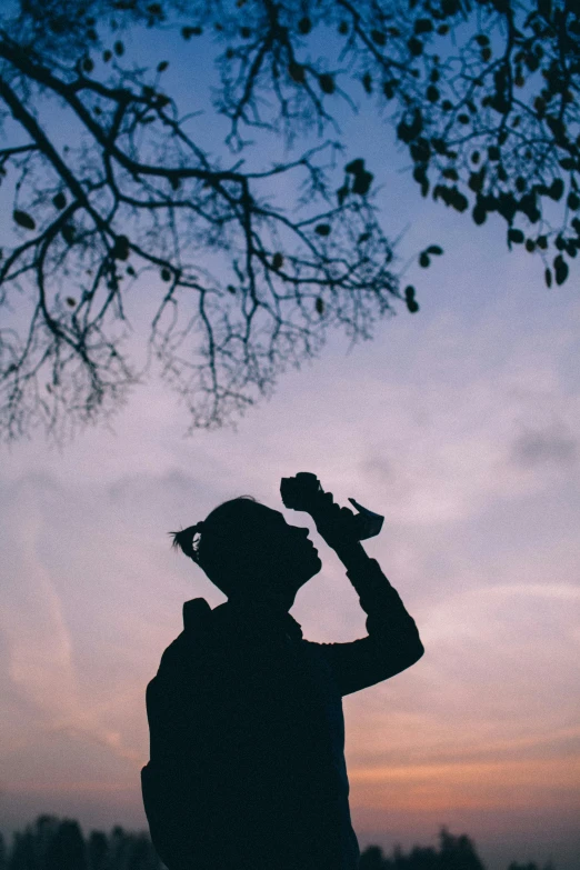 a silhouette of a man holding soing in his hand