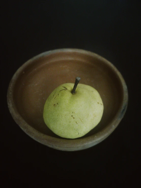 an apple in a bowl on a black background