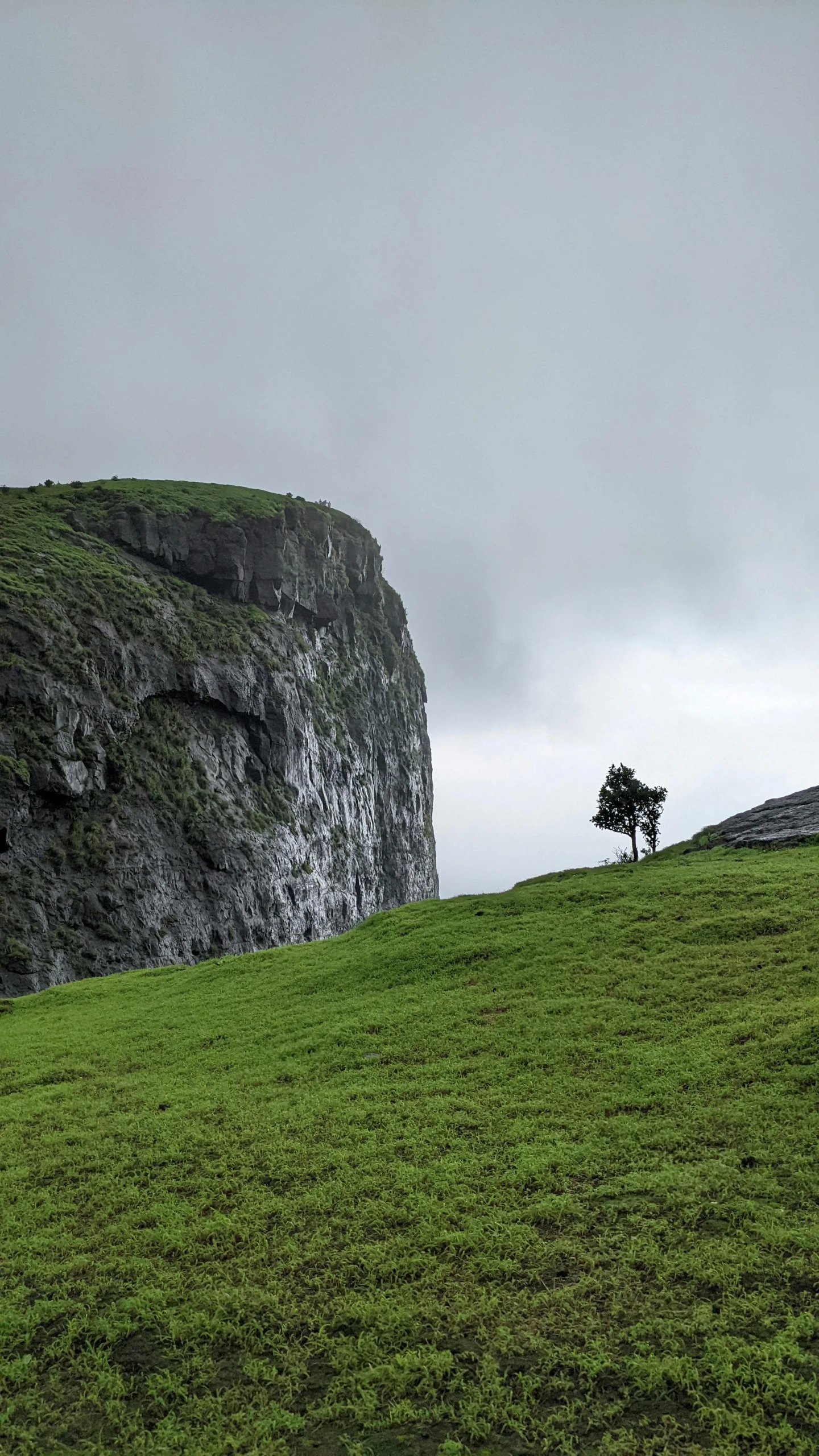 a large hill that has two trees on it