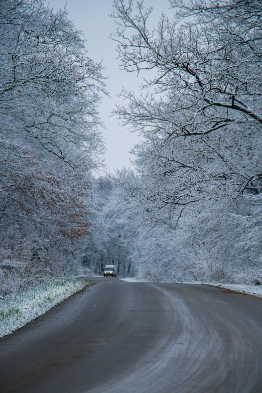 a car driving down a road with trees and snow