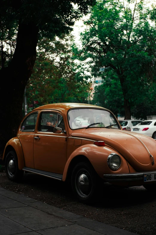 an old tan bug parked next to some trees