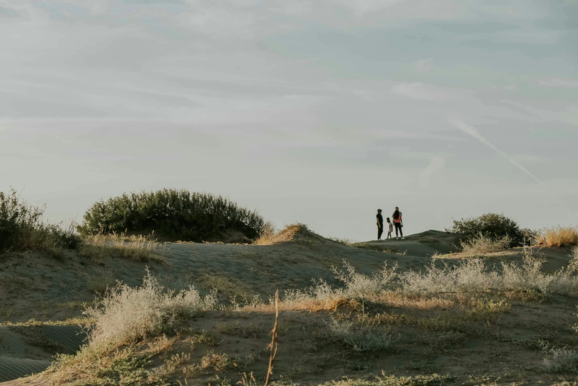 two people are standing on top of a hill