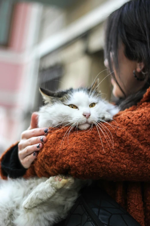 woman holds white cat with black and grey markings