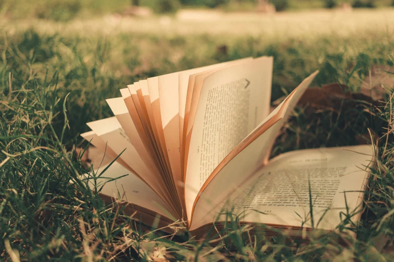 a group of open books sitting on top of green grass