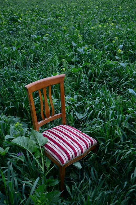 a small chair is in the middle of a field