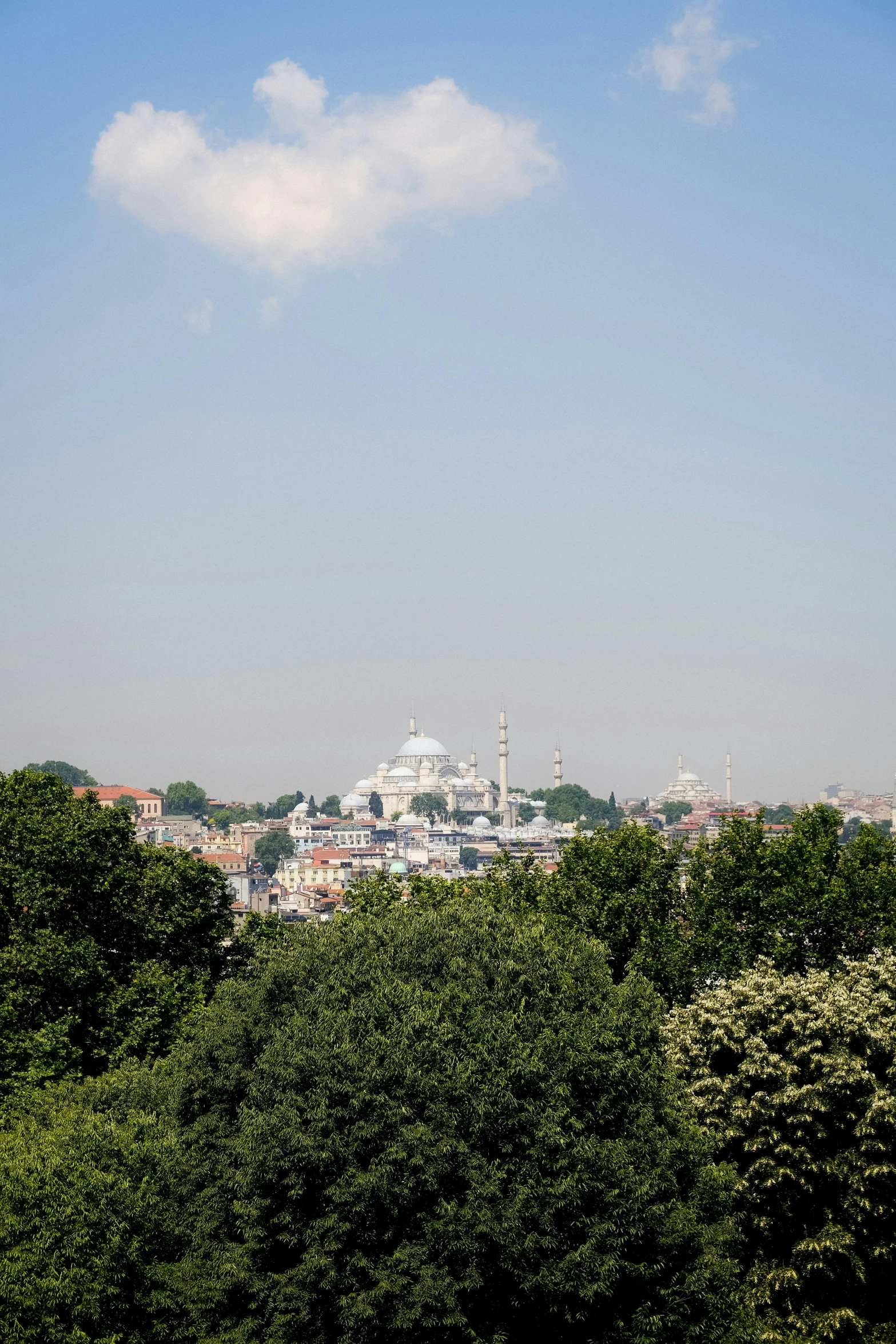 the city is surrounded by trees and buildings