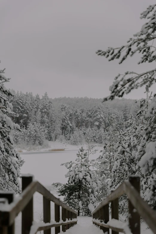 two people walking across a bridge in the snow