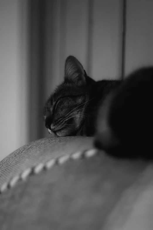 the black cat is lying on the edge of the couch