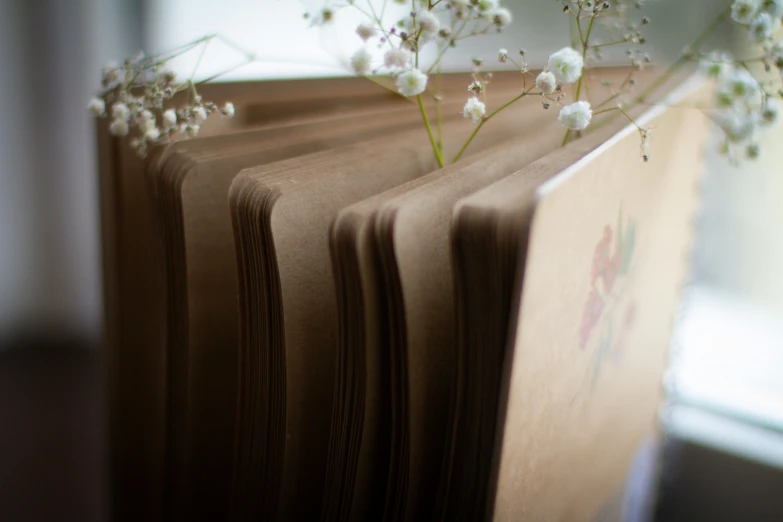 some white flowers are on top of some books