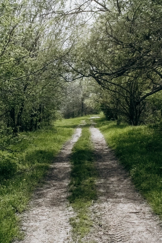 a narrow dirt road with no cars on it