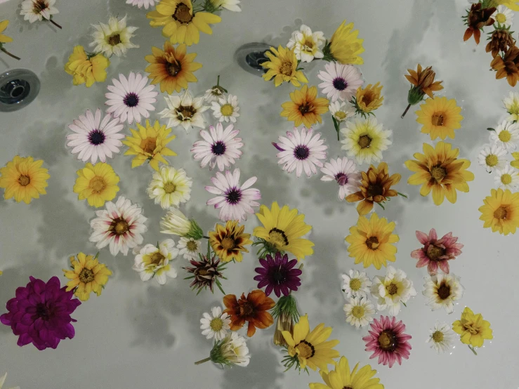 many different colored flowers in a glass vase