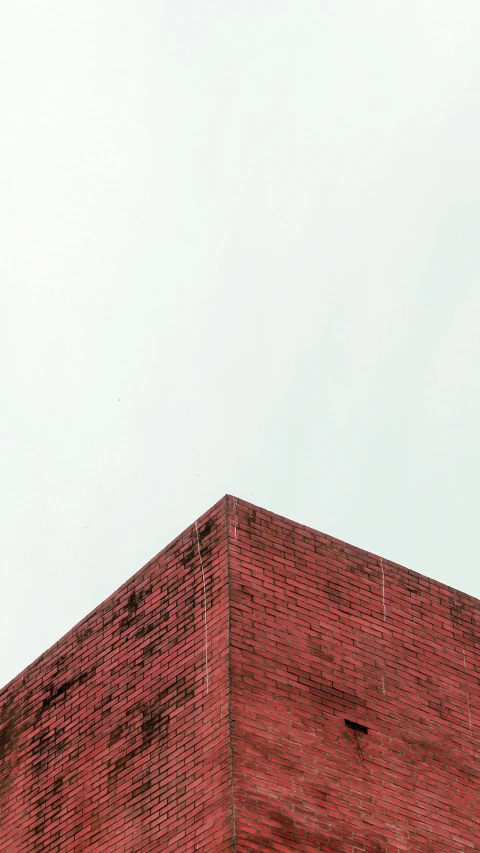 a very large bird flying above some red bricks