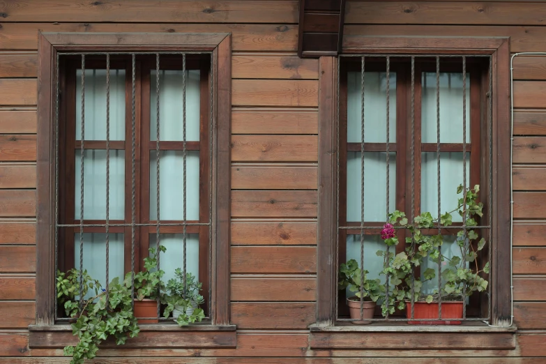 a building with two windows and potted plants on the window sill