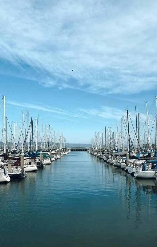 many sailboats are parked on the water in a row