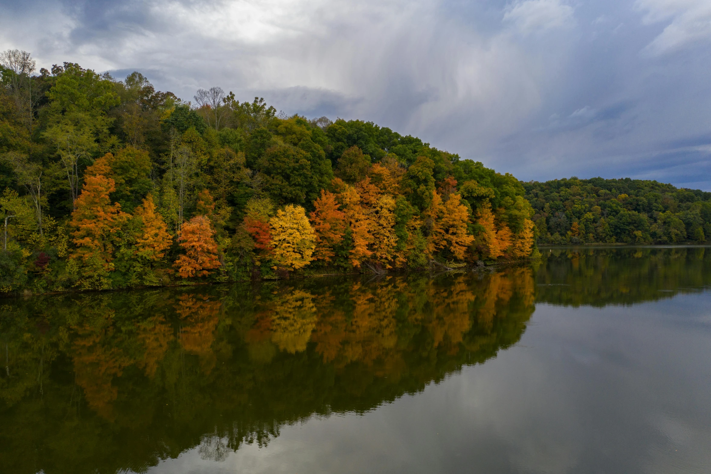 many trees stand along the shoreline in a beautiful landscape