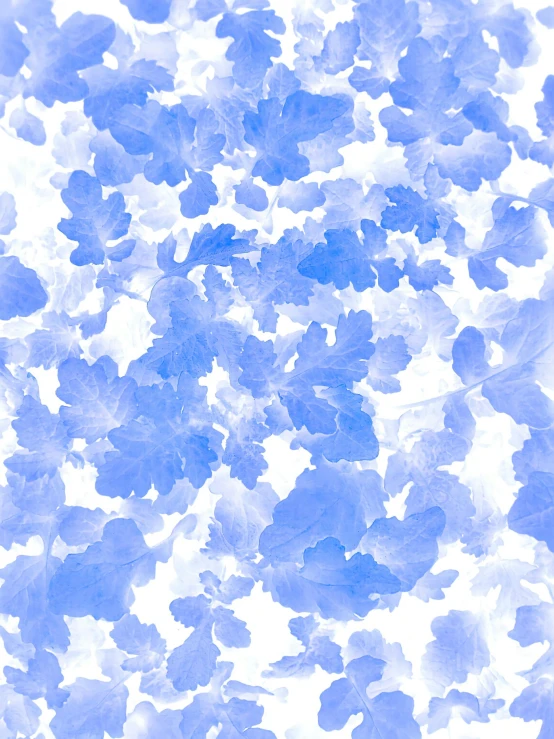 a blue and white textured background that has little leaves