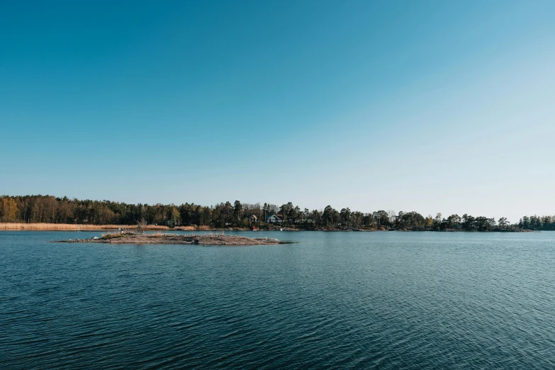 a body of water near a wooded shoreline