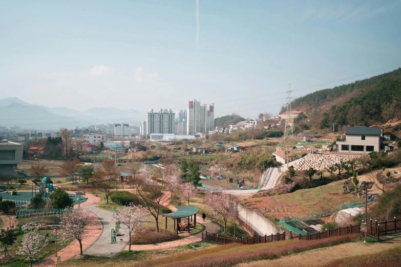 an overview view of a park with trees and buildings