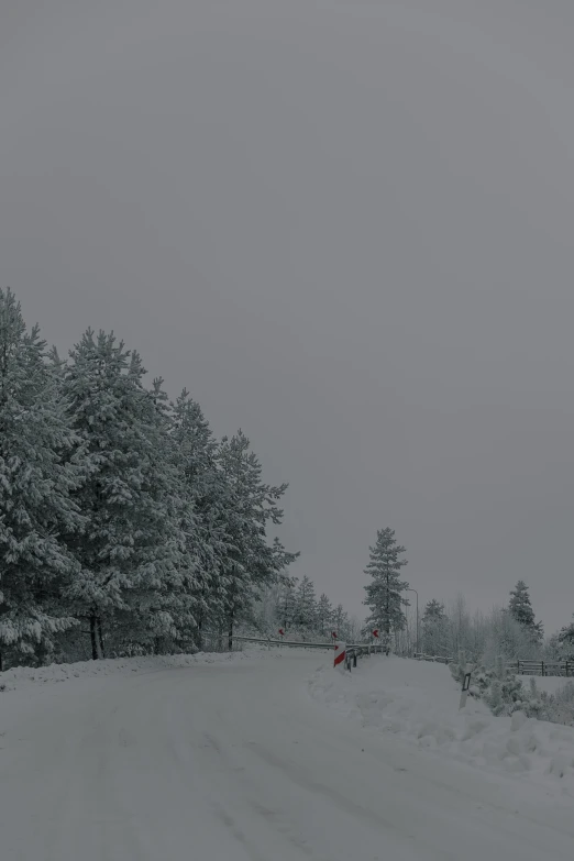 a couple walking on the snow covered road