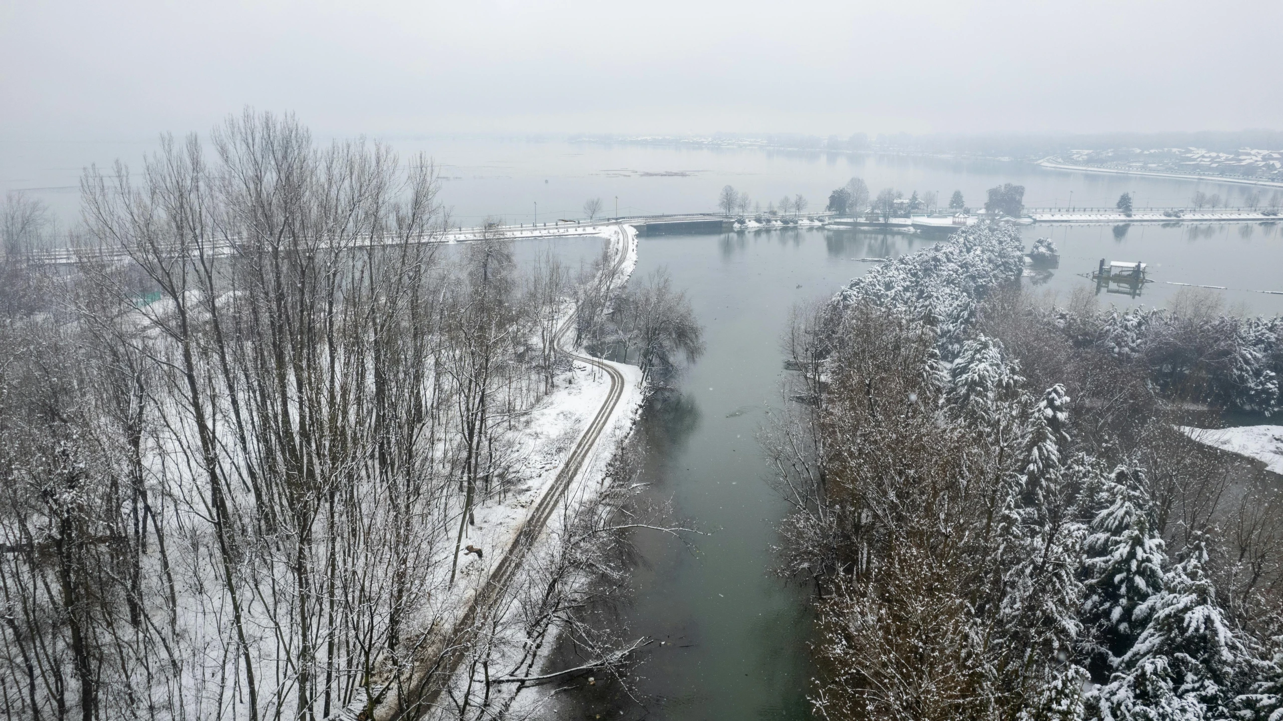 a river with water and trees covered in snow